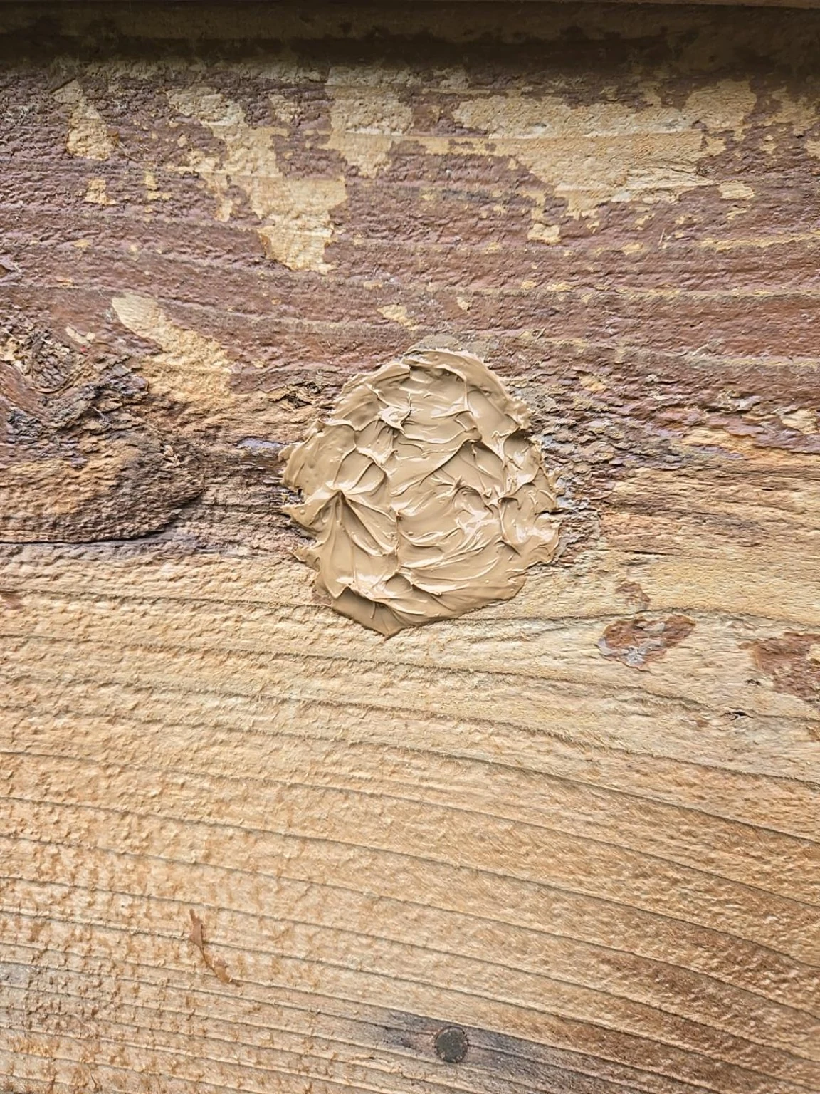 Close-up of a woodpecker hole repair being filled and textured on rough cedar siding